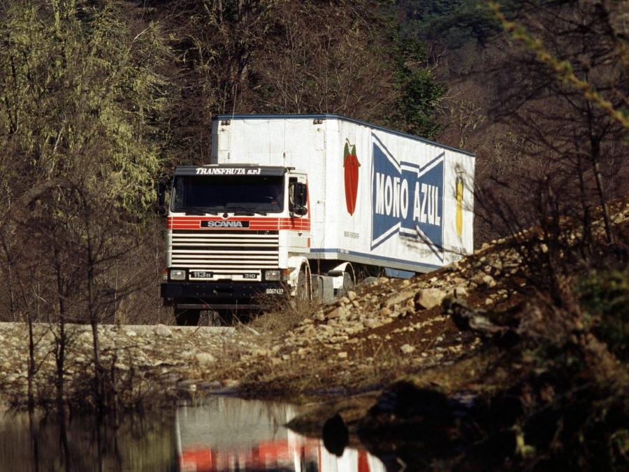  Scania 113H 4x2 1981 года  (фото 1 из 1)